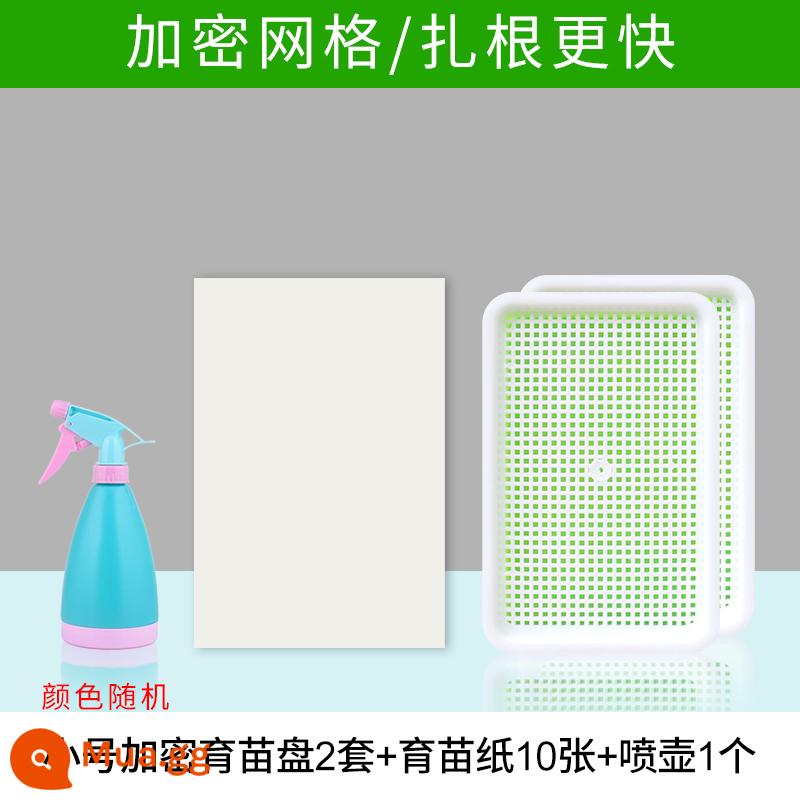 Đĩa ươm mầm rau thủy canh hộp tóc đậu phộng giá đỗ chậu đặc biệt trồng không cần đất trồng rau giá đỗ nảy mầm trồng trong chậu - 2 bộ khay ươm nhỏ-giấy ươm/bình tưới nước