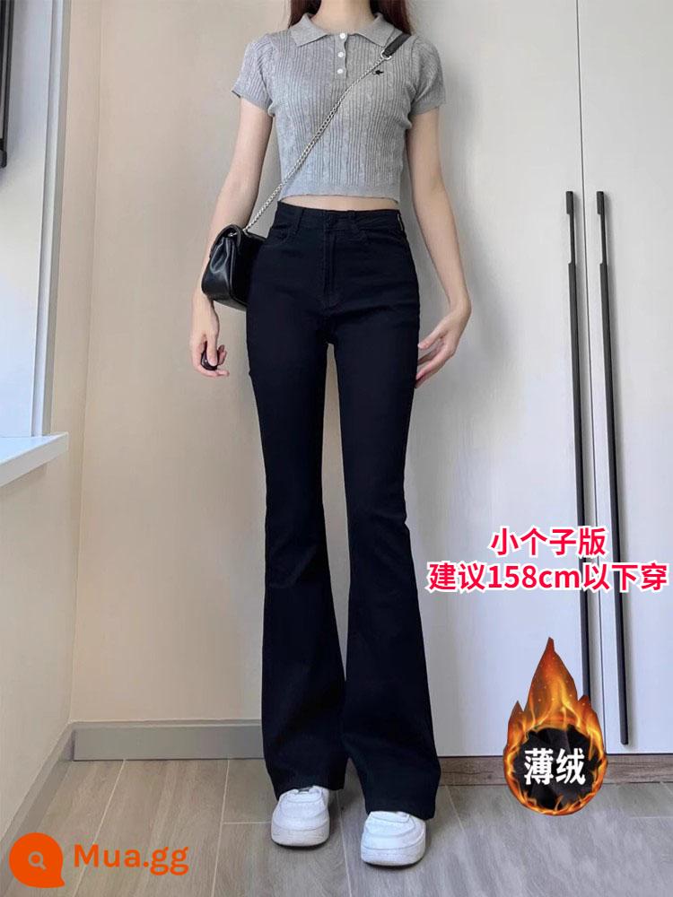 Body dáng quả lê, quần jeans bootcut đen cho nữ, đầu thu, size lớn, lưng cao, che đũng, giảm béo, quần ống rộng co giãn móng ngựa - Mẫu nhung mỏng màu đen (bản nhỏ)