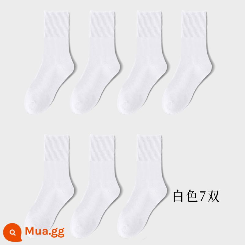 Tất dài đến bắp chân nam cotton nguyên chất chống mùi thấm hút mồ hôi vớ thể thao mùa thu đông Tất dài nam bắp chân mùa thu Tất cotton dài bắp chân nam mùa thu - [7 cặp]2266-1 (7 cặp trắng)