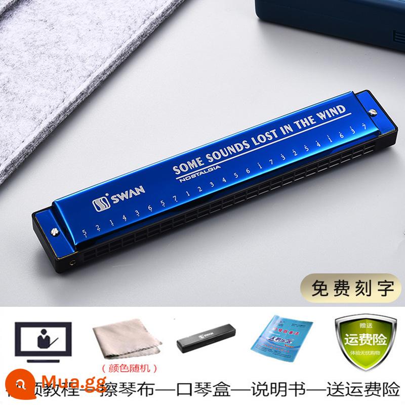 Kèn harmonica thiên nga cho người mới bắt đầu nhập học 24 lỗ đa âm C harmonica học sinh tiểu học thực hành đặc biệt kèn harmonica - Đa âm 24 lỗ màu xanh huyền ảo + 6 quà tặng học tập