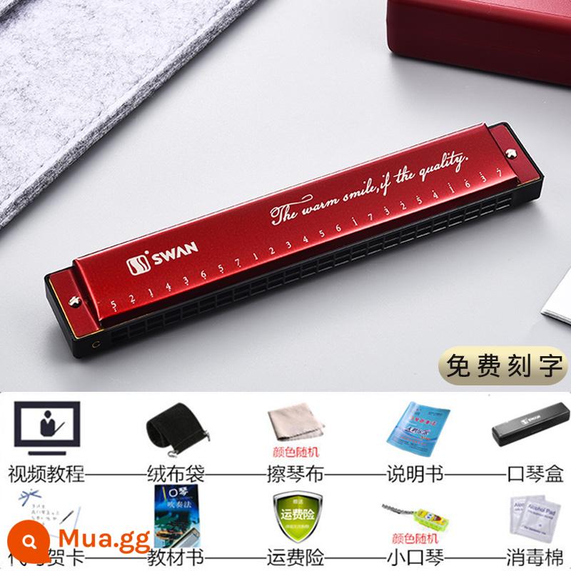 Kèn harmonica thiên nga cho người mới bắt đầu nhập học 24 lỗ đa âm C harmonica học sinh tiểu học thực hành đặc biệt kèn harmonica - Phức điệu 24 lỗ màu đỏ của Trung Quốc + 11 quà tặng học tập