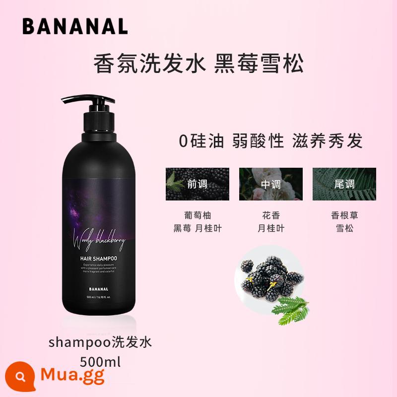 Dầu gội hương thơm Bananal của Hàn Quốc Li Yufei khuyên dùng dầu xả không chứa silicone để có mùi thơm lâu, kiểm soát dầu và bồng bềnh - Dầu Gội 500ml (Blackberry Cedar)