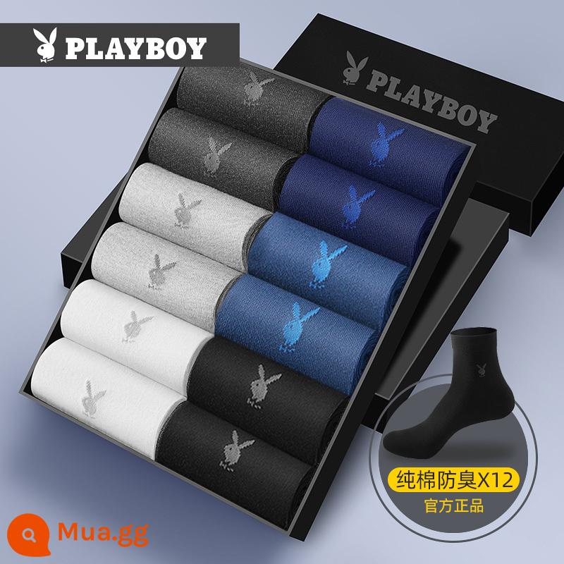 Vớ Nam Playboy Nam Mùa Thu Đông Cotton Nguyên Chất Thấm Hút Mồ Hôi Vớ Ống Giữa Vớ Cotton Bé Trai Vớ Nam - [Phong cách thu đông] Hai cặp sáu màu