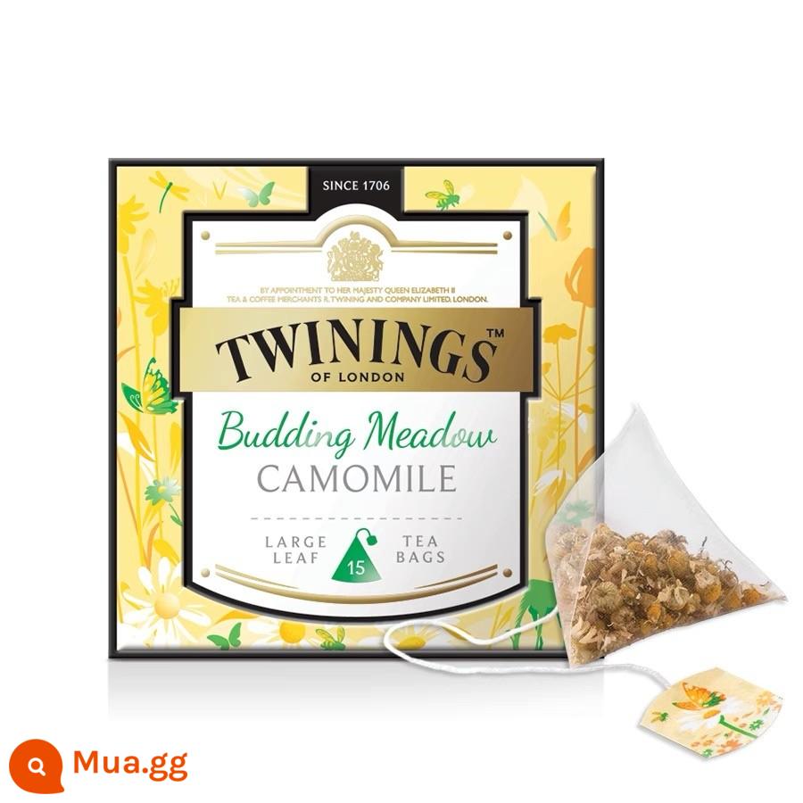 Trà thảo mộc hoa cúc Twinings Downing Xiangning Anh 25 gói trà túi lọc trà thảo mộc nhập khẩu - Trà thảo dược hoa cúc Daye Platinum Fangdian