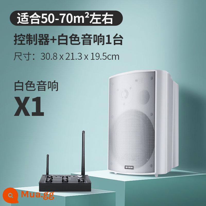 Âm thanh không dây treo tường Loa Bluetooth dành riêng cho cửa hàng bao quanh phòng ăn thanh thương mại phòng khiêu vũ phòng hội nghị - Bộ điều khiển nâng cấp + 1 loa trắng