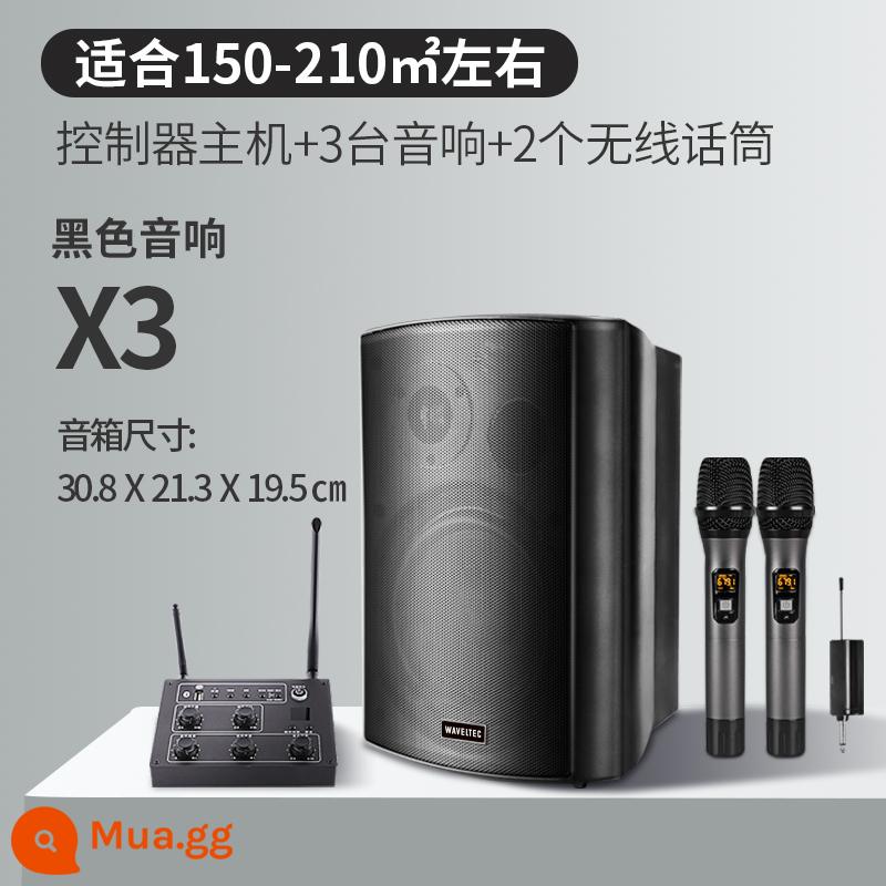 Âm thanh không dây treo tường Loa Bluetooth dành riêng cho cửa hàng bao quanh phòng ăn thanh thương mại phòng khiêu vũ phòng hội nghị - Bộ điều khiển nâng cấp + 3 loa đen + 2 micro không dây