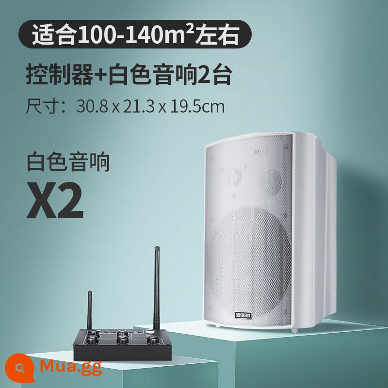 Âm thanh không dây treo tường Loa Bluetooth dành riêng cho cửa hàng bao quanh phòng ăn thanh thương mại phòng khiêu vũ phòng hội nghị - Bộ điều khiển nâng cấp + 2 loa màu trắng