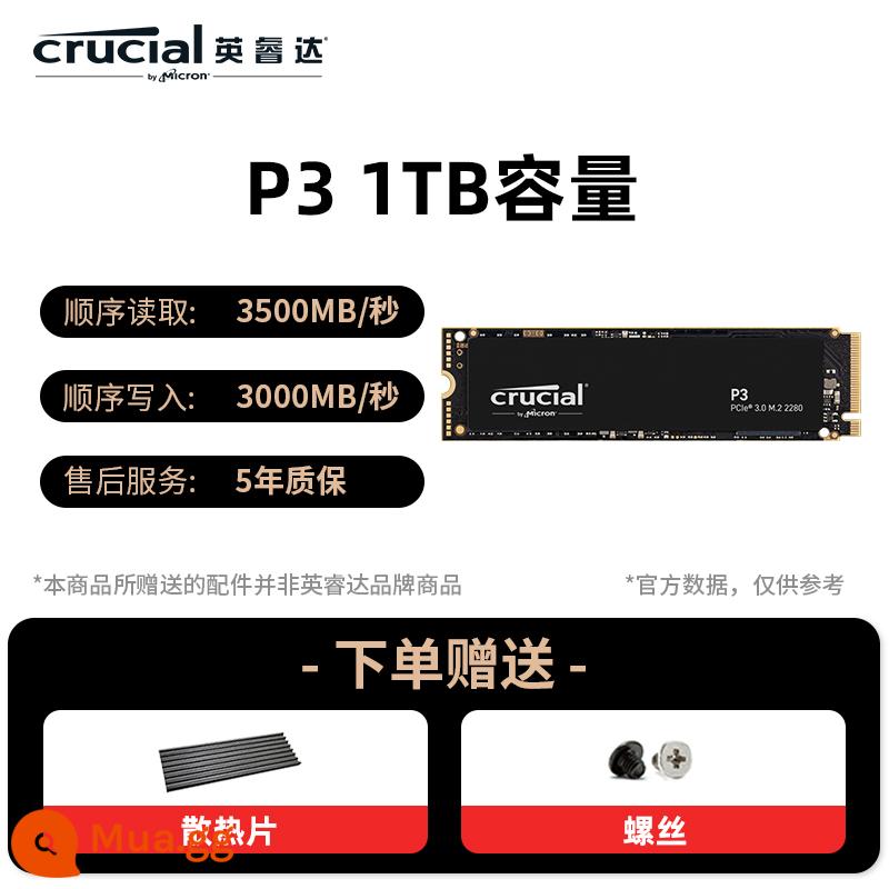 Ổ cứng thể rắn Inruida P3 giao diện m2 1t 500g SSD máy tính xách tay nvme máy tính để bàn ổ cứng trò chơi - Giao diện P3 1T M2 [3500MB/S]