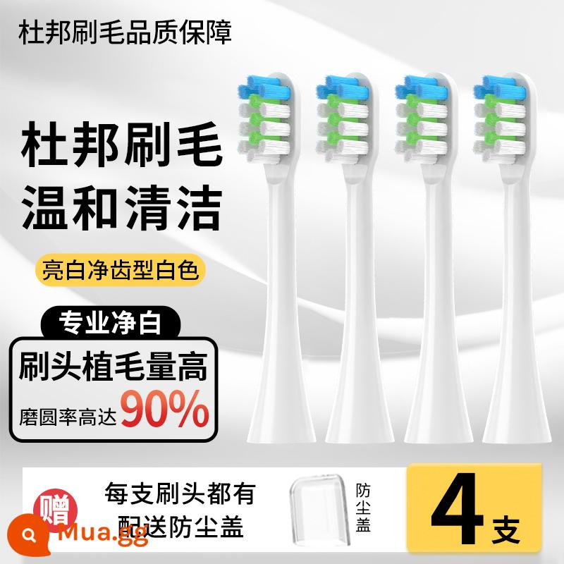 Thích hợp cho bàn chải đánh răng điện Đầu bàn chải LMN của Đức L1L2L1-TZ đầu bàn chải màu trắng chắc chắn Đầu bàn chải thay thế đa năng Curtis - Model tiêu chuẩn màu trắng 4 miếng (phù hợp với bàn chải đánh răng điện LMN của Đức)