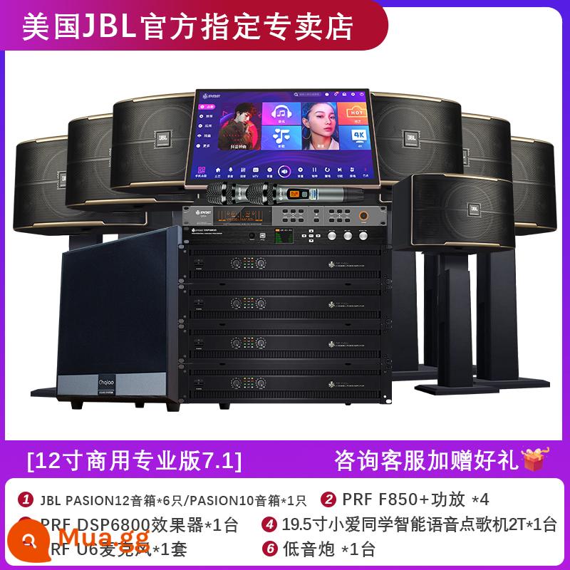 Bộ âm thanh JBL Pasion home KTV hát karaoke card túi loa hát máy thanh sân khấu - Phiên bản chuyên nghiệp thương mại 12 inch 7.1