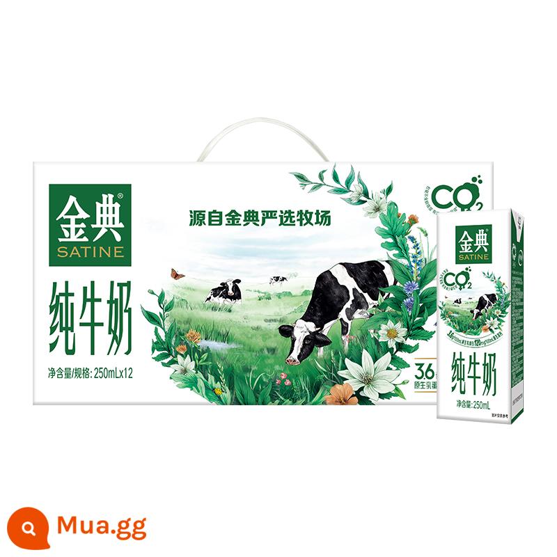 Tháng 11 Sữa Yili Sữa nguyên chất Jindian 250ml*12 hộp 24 hộp ml đóng gạch vô trùng cho người lớn và trẻ em ăn sáng - [Sản xuất tháng 9] Sữa nguyên chất Jindian 250ml * 12 hộp