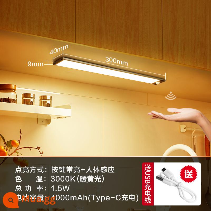 Bull ánh sáng tủ tổng thể với đèn led đáy tủ sạc cơ thể con người ánh sáng cảm ứng thanh tự dính không dây lối đi nhà bếp ánh sáng tủ quần áo - Đèn vàng 30cm + cảm ứng cơ thể người + điều khiển ánh sáng + luôn bật + kiểu sạc