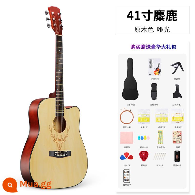 Đàn guitar đơn dành cho người mới bắt đầu bằng gỗ vân sam có giá trị cao dành cho nam và nữ 41 inch 38 dành riêng cho học sinh và trẻ em tự học - 41 inch-nai sừng tấm-log màu+gói quà tặng