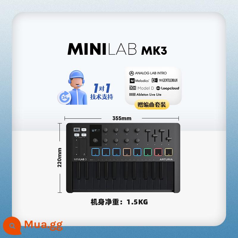 Thương hiệu trực tiếp Arturia MiniLab MK3 Portable Arranger MIDI Keyboard Controller Pad - ⚫ Model màu tối | MINILAB MK3 đen tuyền - tiêu chuẩn chính thức + dịch vụ 1 đổi 1 + gói phần mềm sắp xếp