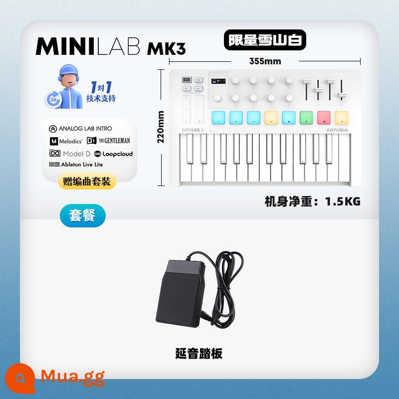 Thương hiệu trực tiếp Arturia MiniLab MK3 Portable Arranger MIDI Keyboard Controller Pad - ⭐Phiên bản giới hạn｜MINILAB MK3 Snow Mountain White-pedal + dịch vụ 1-1 + gói phần mềm sắp xếp