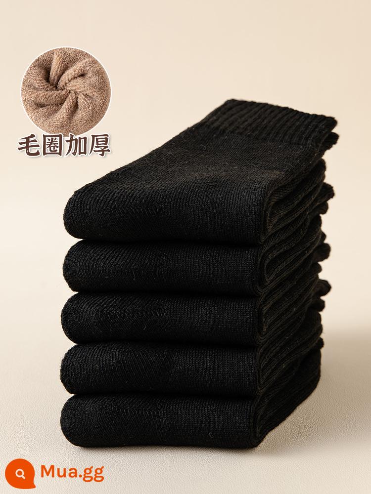 Vớ Mao Circle, Mùa thu và Mùa đông, Vớ Mid -Stock dày Velvet, Màu sắc nguyên chất của vớ dài sau khi sinh, Vớ giam cầm - [Tổng cộng 7 đôi] 5 đôi màu đen + tặng 2 đôi cùng kiểu