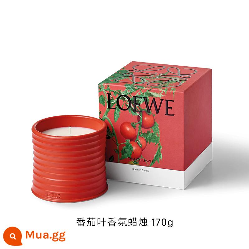 [Chính thức] Nến thơm nhà LOEWE 170g Lá cà chua Hoa kim ngân hoa cam - Lá cà chua (cỡ nhỏ)