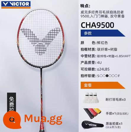 Shengli cầu lông vợt chính hãng chính hãng Bhramid Ultra -light Victor Full Carbon Badminton Single 4u Chuyên nghiệp Line - [Thử thách] Đen đỏ 9500D 4U [Keo tay + Vỏ chụp]