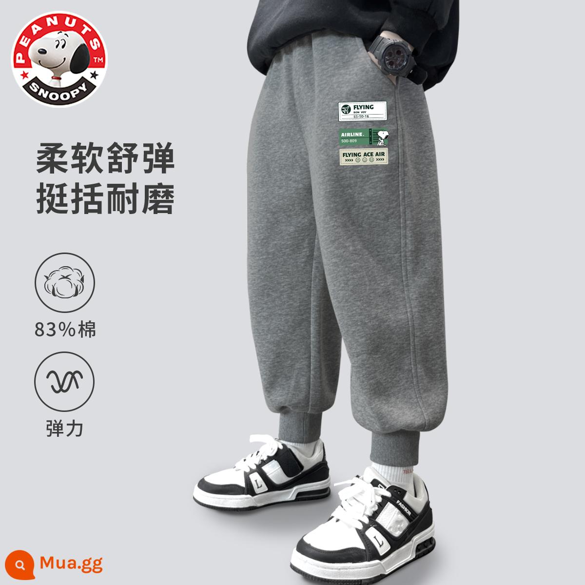 Quần bé trai Snoopy xuân thu 2024 quần thể thao mỏng mới vừa và lớn cho trẻ em quần cotton dày thường ngày quần áo trẻ em mùa xuân - Thẻ Quần Nuby Xám Đậm