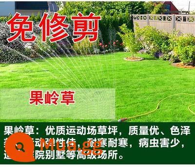 Hạt giống cỏ cỏ bốn mùa thường xanh bảo vệ mái dốc bermudagrass Manila hạt giống cỏ thảm Bermuda hạt giống lúa mạch đen - 2 pound cỏ xanh lùn [phủ xanh cộng đồng]