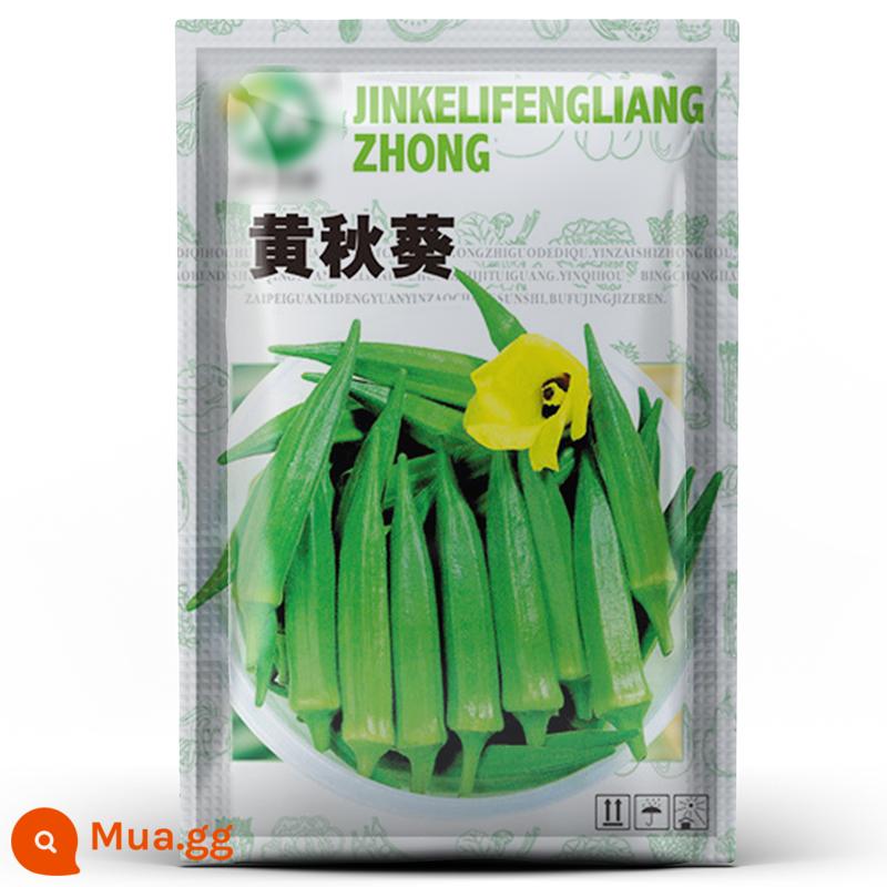 [Bộ sưu tập rau củ] Ngò, dưa hấu, dưa chuột, hẹ, bắp cải, xà lách, dâu tây, cà chua, hạt tiêu, cây con - Đậu bắp khoảng 5g, 50 miếng