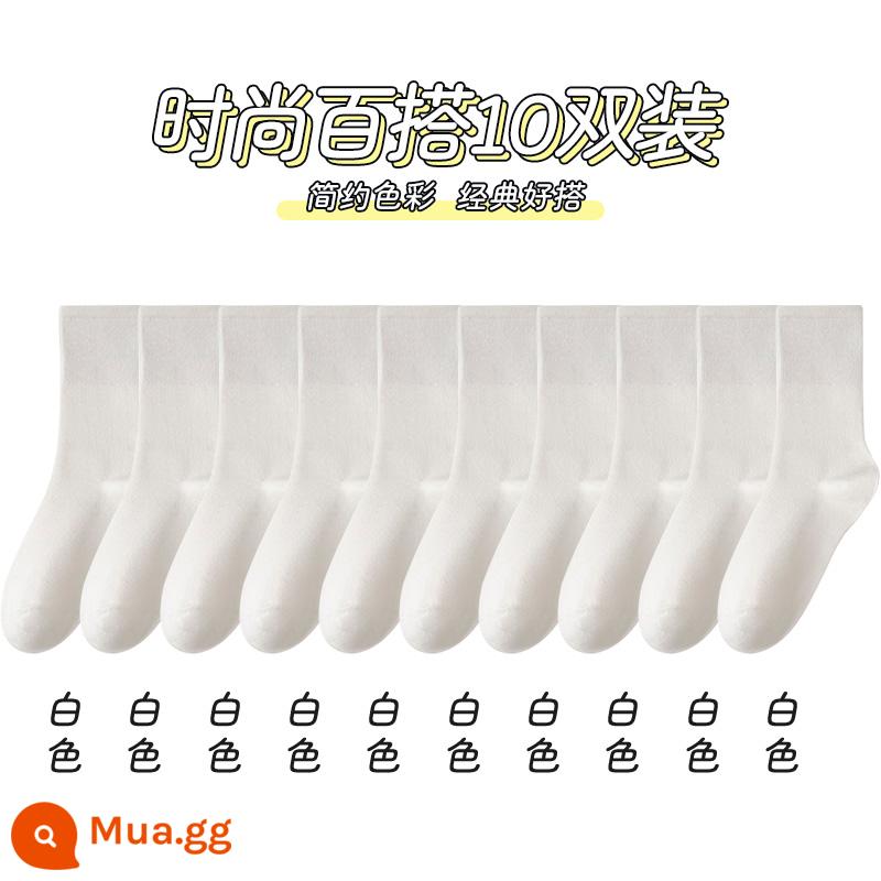 Tất bong bóng màu trắng Tất dài đến bắp chân của phụ nữ Cotton nguyên chất Tất mùa xuân và mùa hè không xương Tất đen khử mùi mùa xuân và mùa thu Tất vớ - [10 đôi] màu trắng