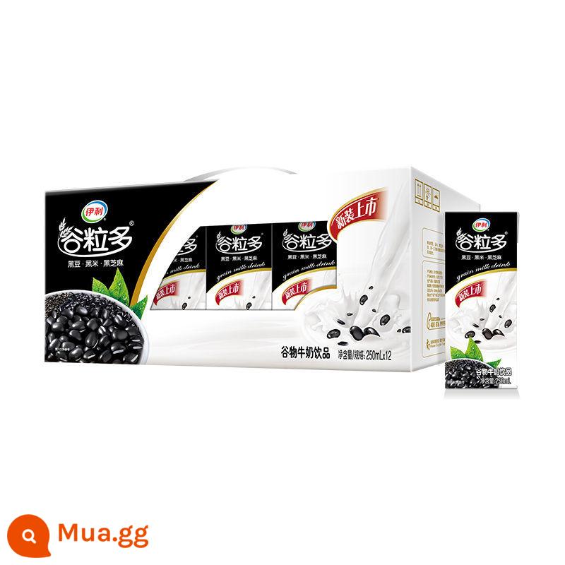 Tháng 11 ngũ cốc Yili mới hơn 250ml*12/12 hộp đậu đỏ, đậu đen, yến mạch, ngũ cốc dinh dưỡng học sinh nguyên hộp - [Hàng mới về tháng 8] Black Valley 250ml*12 hộp