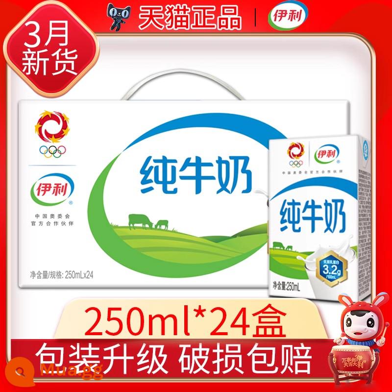 Tháng 2 Mới Yili Sữa Nguyên Chất FCL 250Ml * 24 Hộp Flagship Store Chính Thức Soái Hạm Trẻ Em Ăn Sáng Sữa Soái Hạm - [Sản xuất tháng 3] Sữa nguyên chất 250ml*24 hộp