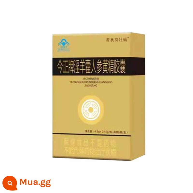 Original Yellow Okra Oyster Capsules nam giới cũ Đài Loan Ten Moby Cordyceps Cordy Cordyceps Kwai Guigua Guo Jianbao chính hãng - màu sô cô la