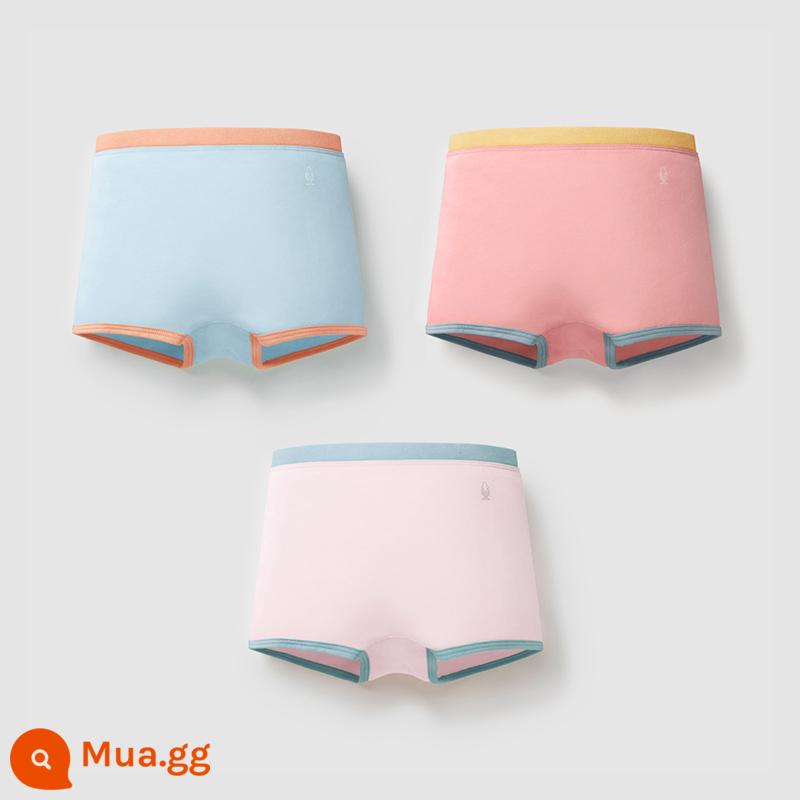 Chuối Quần Lót Trẻ Em 355C Cotton Kháng Khuẩn Boxer Quần Lót Bé Trai Màu Sắc Tương Phản Quần Lót Tam Giác Nữ 3 Cái - [Góc phẳng nữ] Muối biển xanh + bột củ sen + long lanh