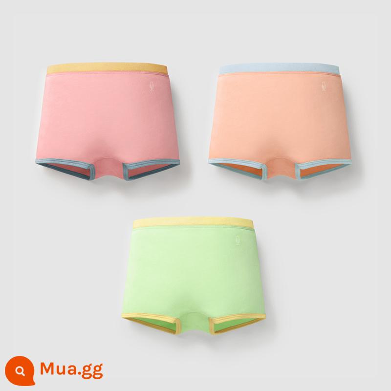 Chuối Quần Lót Trẻ Em 355C Cotton Kháng Khuẩn Boxer Quần Lót Bé Trai Màu Sắc Tương Phản Quần Lót Tam Giác Nữ 3 Cái - [Góc phẳng nữ] Bột củ sen + cam hồng nhạt + xanh trái cây