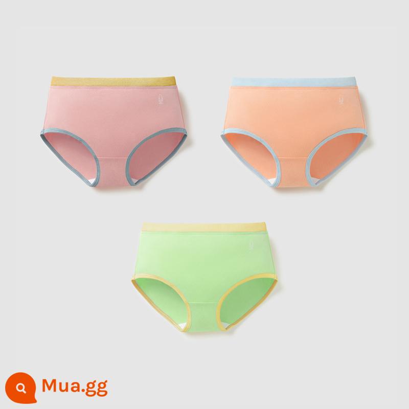 Chuối Quần Lót Trẻ Em 355C Cotton Kháng Khuẩn Boxer Quần Lót Bé Trai Màu Sắc Tương Phản Quần Lót Tam Giác Nữ 3 Cái - [Tam giác nữ] Bột củ sen + cam hồng nhạt + xanh trái cây