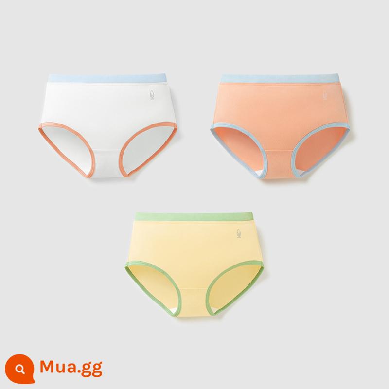 Chuối Quần Lót Trẻ Em 355C Cotton Kháng Khuẩn Boxer Quần Lót Bé Trai Màu Sắc Tương Phản Quần Lót Tam Giác Nữ 3 Cái - [Tam giác nữ] Trắng ấm + cam hồng nhạt + vàng phô mai