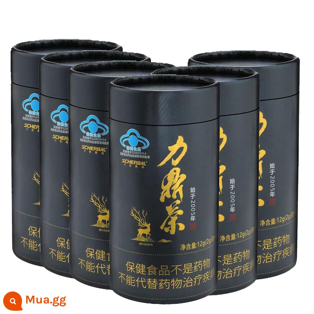 Trà Li Ding Sanye Chính Hãng Chính Hãng Nam Hộp Quà Chính Hãng Lớn Màu Đen Bò Peptide Nghiêm Trọng Bộ Gói Dinh Dưỡng Sức Khỏe Phổ Quát Sản Xuất Bia - Mở nắp lon trà đen (6 lon)