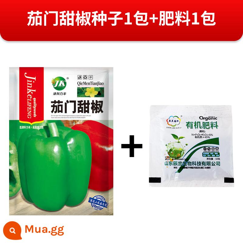 Cà tím hạt giống ớt ngọt mùa xuân gieo hạt giống ớt ngọt rau hạt tiêu thịt lớn mục vụ hạt giống rau mùa xuân - Ớt chuông Zinkli Fengqiemen [1 gói] + một gói phân bón