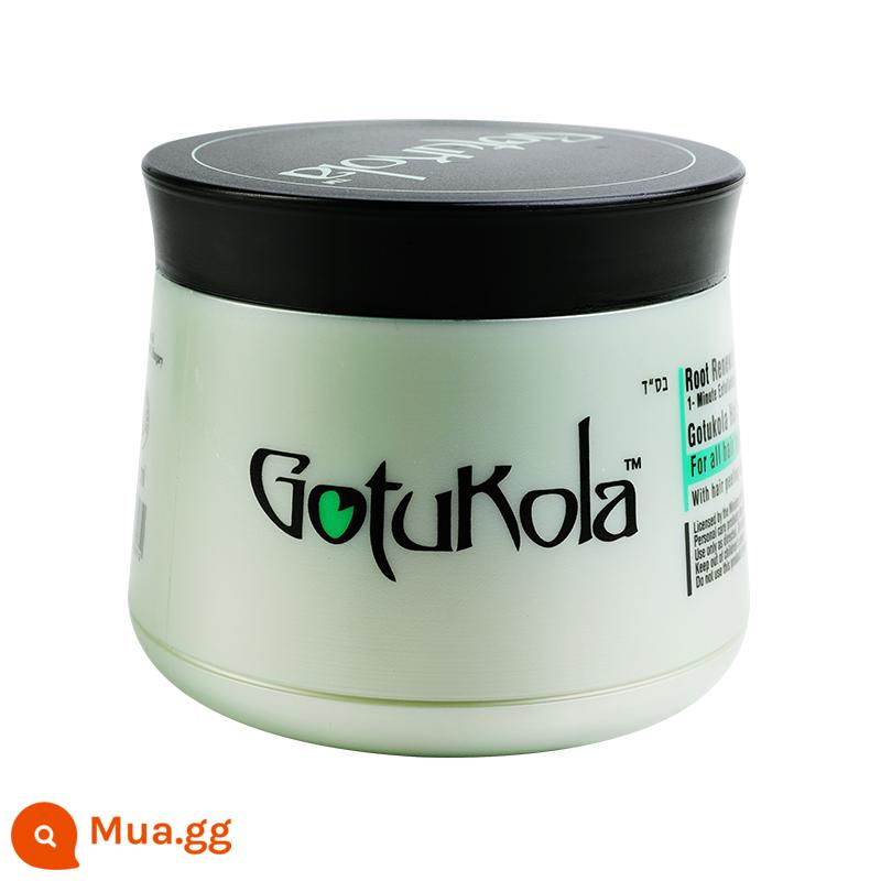 Gotukola dog head koala phim tóc keratin perm nhuộm sửa chữa khô, xoăn, dưỡng ẩm, mềm mượt, chăm sóc tóc không hấp - 500g