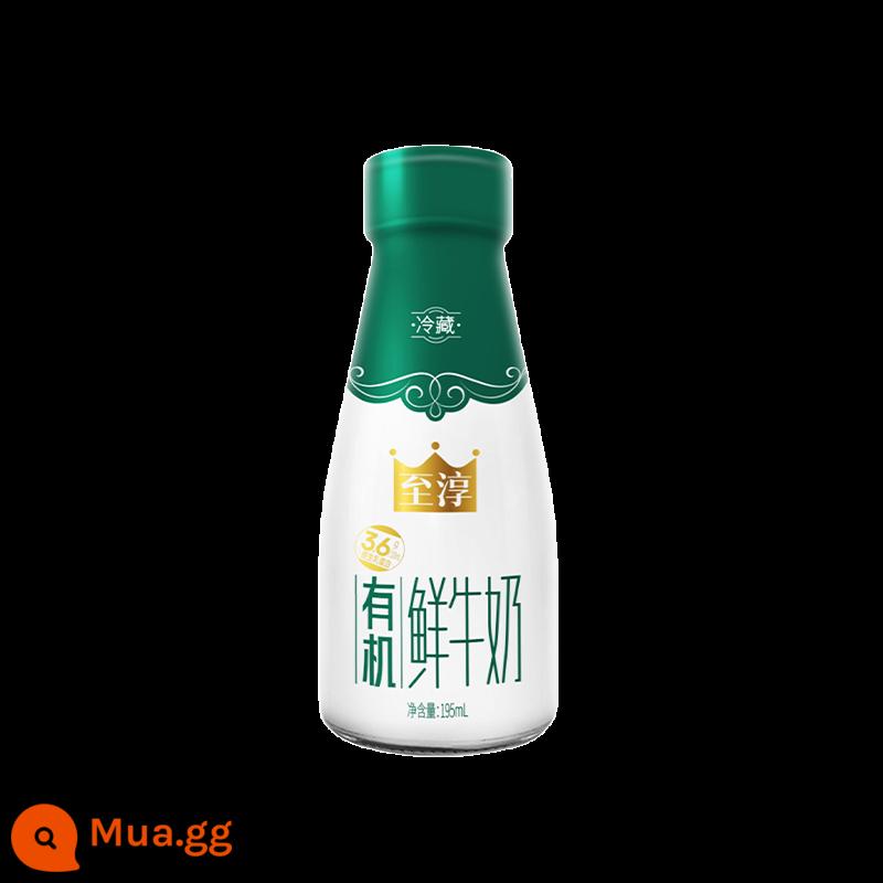 [Đơn hàng hàng ngày Weigang Nam Kinh] Chai sữa tươi thủy tinh 195ml - Sữa tươi hữu cơ Zhichun chai thủy tinh 195ml