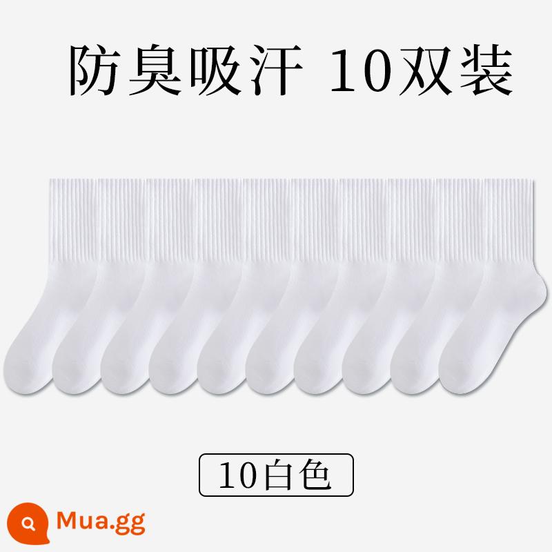 Tất bong bóng Zhuji dành cho nữ, ống vừa không xương, cotton không nguyên chất, mùa xuân và mùa thu, màu đen và trắng, vớ giam cầm mùa hè, xu hướng nổi tiếng trên Internet - [Ống giữa] 10 màu trắng