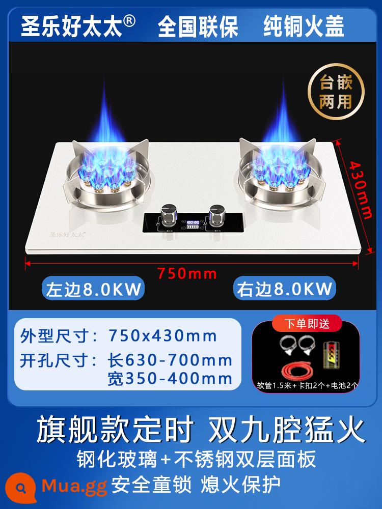 Bếp gas đôi cổng gas gia dụng bếp gas Shenglehao gas hóa lỏng bếp gas gia dụng - Flagship đôi chín buồng + mặt kính bằng thép không gỉ hẹn giờ + bảo vệ ngọn lửa