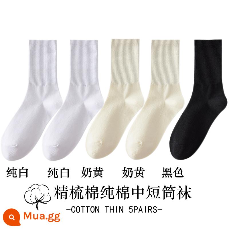 Vớ trắng nữ ống giữa mùa thu đông cotton nguyên chất khâu không xương hút mồ hôi khử mùi ống ngắn màu đen vớ nữ - [Phiên bản dài] 2 màu trắng tinh + 2 màu vàng kem + 1 màu đen