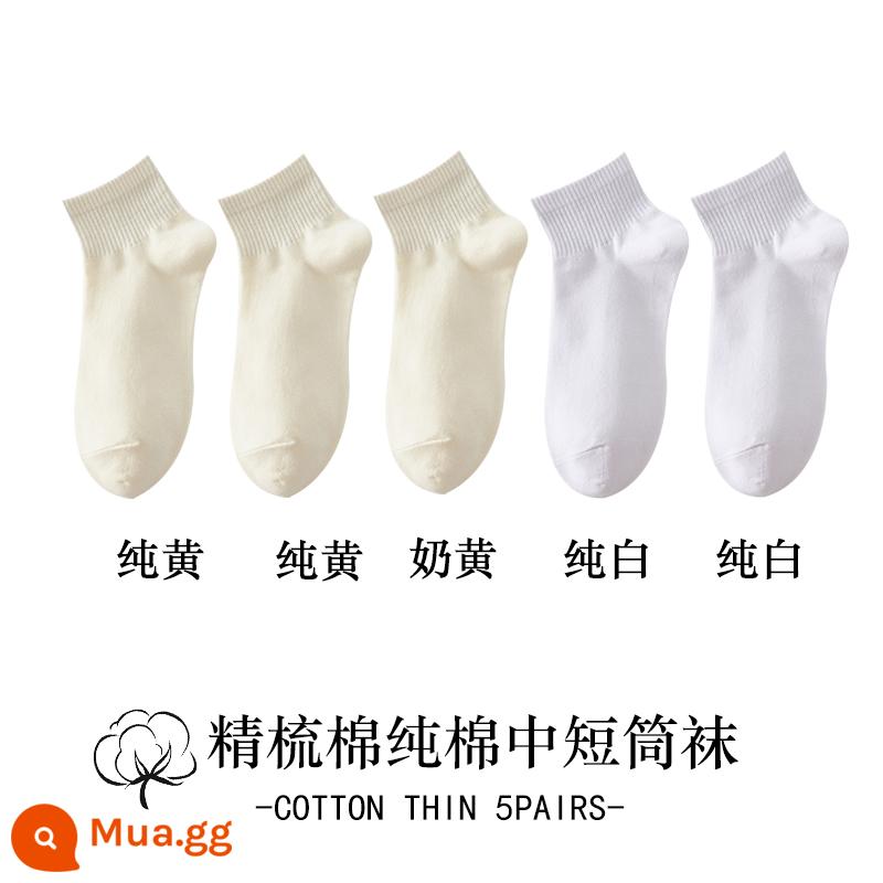 Vớ trắng nữ ống giữa mùa thu đông cotton nguyên chất khâu không xương hút mồ hôi khử mùi ống ngắn màu đen vớ nữ - [kiểu ngắn] 3 màu vàng kem + 2 màu trắng tinh