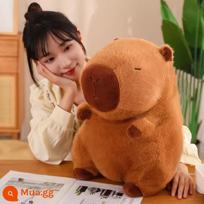 Búp bê Capybara đồ chơi sang trọng gối capybara mặt dây chuyền búp bê vải búp bê Capybara lap - Vị trí ngồi 45 cm