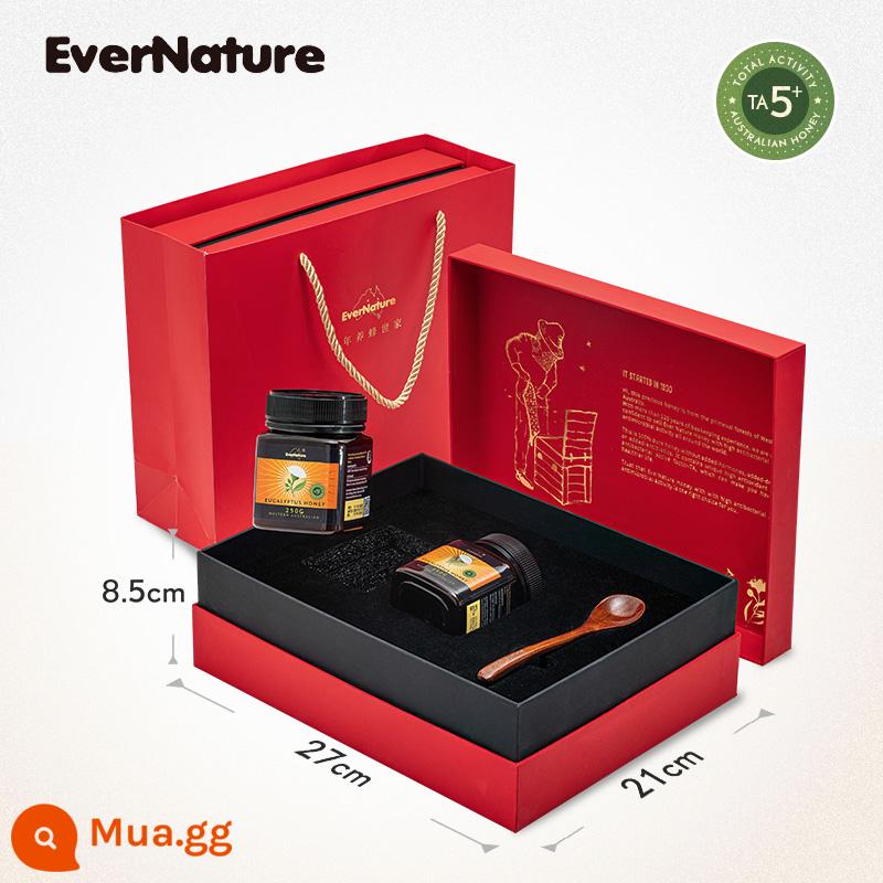 Hộp quà siêu mật ong Manuka nhập khẩu EverNature mật ong khuynh diệp thiên nhiên nguyên chất 10+15+ quà tặng Úc - TA5+ 250g*2 chai [hộp quà tặng]