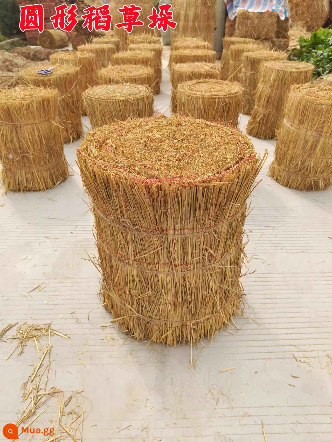 Haystack cỏ gò vuông tròn haystack giải trí trang trại rơm trang trí đống cỏ khô phân chụp đạo cụ rơm khô - Hình trụ 40 * 60 [đường kính * chiều cao] cm