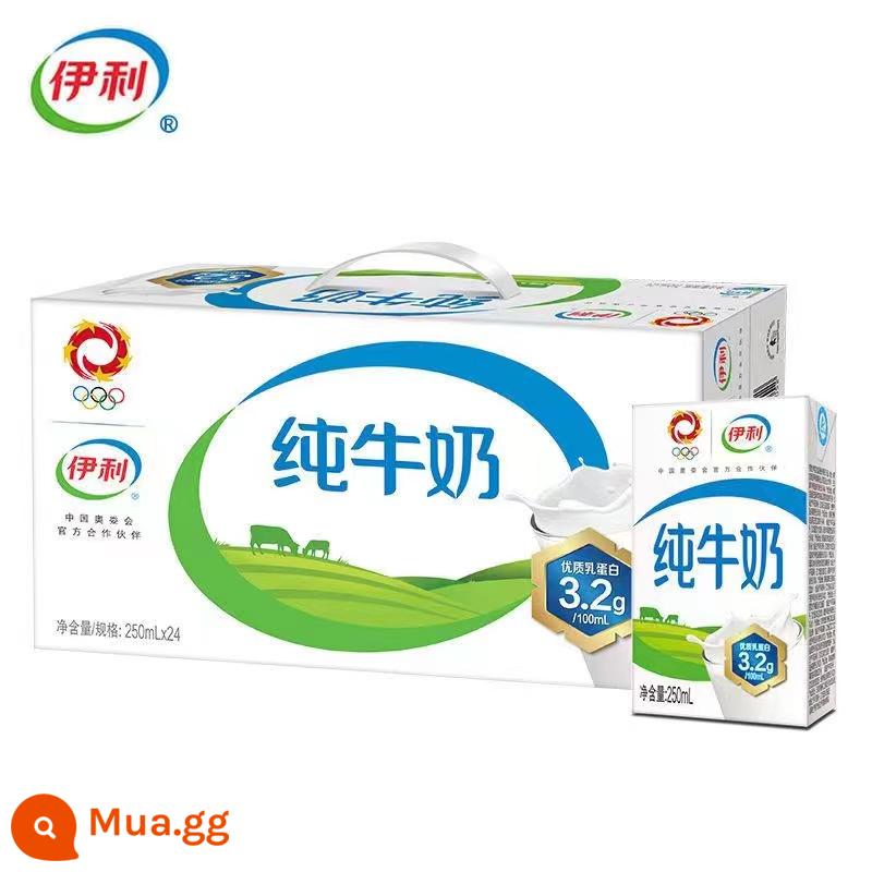 [Hàng mới tháng 4] Sữa tươi Yili nguyên hộp 24 hộp 250ml Sữa tươi nguyên chất gạch vô trùng 200ml - Chất lượng | Sữa nguyên chất June 250ml*24 hộp