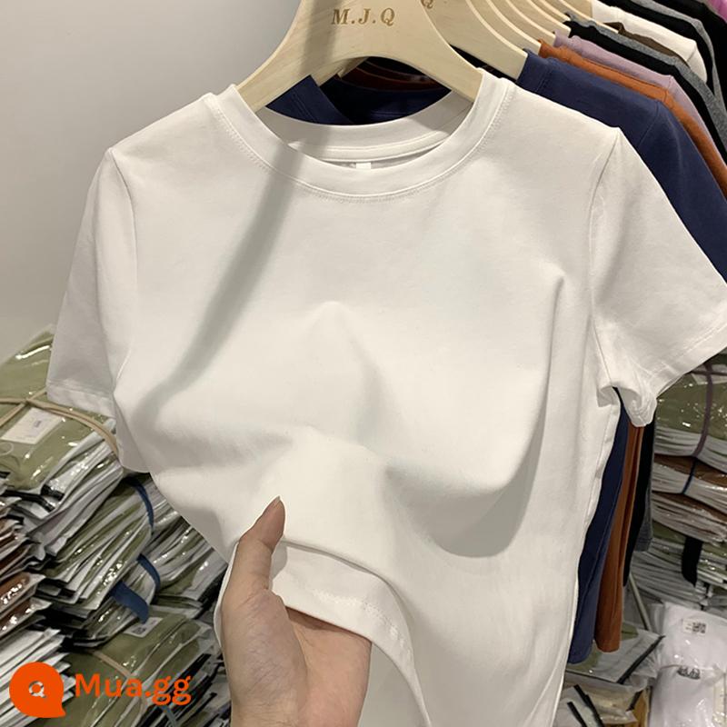 Semir Group cotton vai chải áo thun ngắn tay mùa xuân và mùa hè hàng đầu của phụ nữ Áo thun dày dặn áo sơ mi có đáy bằng cotton nguyên chất - Trắng [kiểu chải]