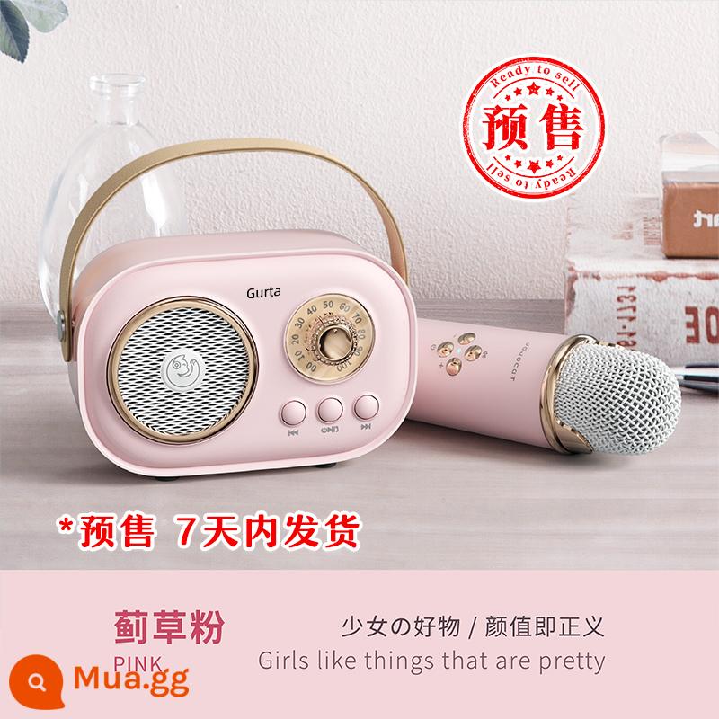 Gurta âm thanh micro karaoke bluetooth loa gia đình KTV nhỏ hát karaoke gia đình micro âm thanh Tất cả - Micro đơn bột cây kế