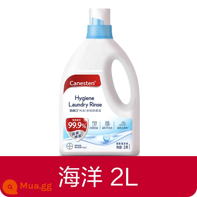 [Bee Wish Club] Dung dịch khử trùng và khử trùng quần áo Bayer Canesten, Đặc biệt dành cho giặt ủi, Nhiều thông số kỹ thuật - Hương vị đại dương-gói 2L