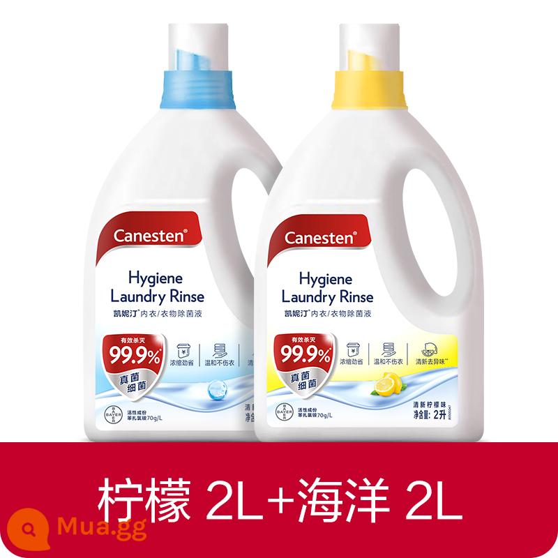 [Bee Wish Club] Dung dịch khử trùng và khử trùng quần áo Bayer Canesten, Đặc biệt dành cho giặt ủi, Nhiều thông số kỹ thuật - Gói combo 2L*2 (hương chanh*1+hương biển*1)