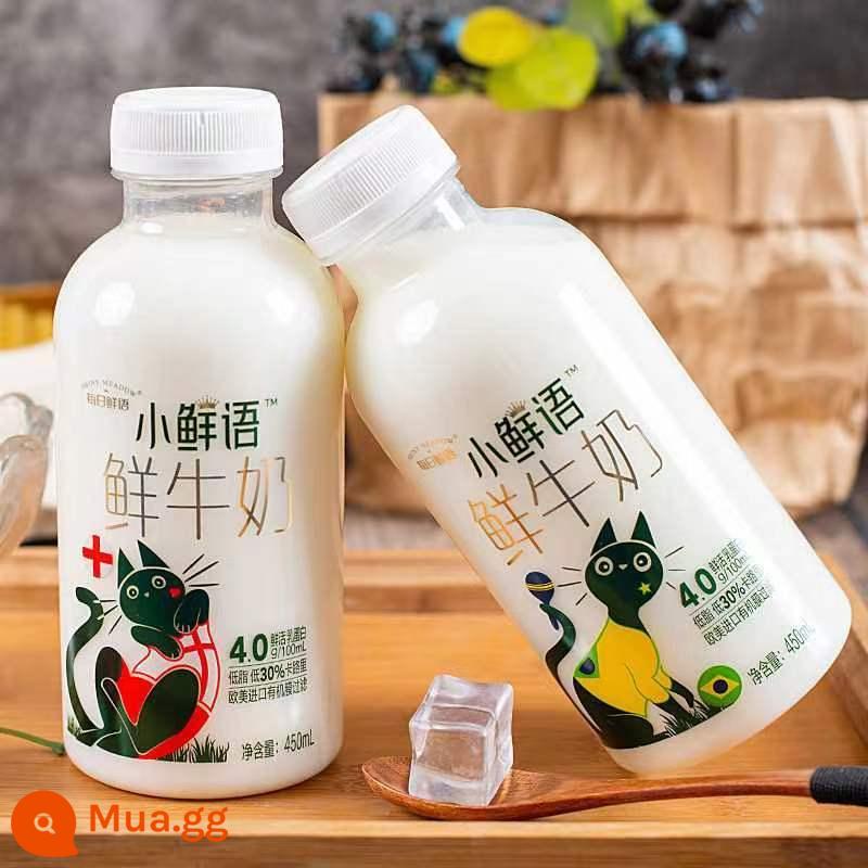 Từ tươi hàng ngày đầy đủ chất béo 4,0g/100ml protein sữa tươi nhiệt độ thấp 250ml sữa ăn sáng ít béo tiệt trùng - Daily Fresh Words 4.0 Little Fresh Words 450ml